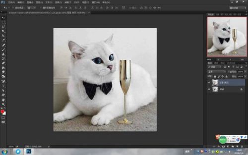 photoshop磁性套索抠图