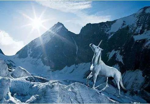 为什么我玩mat点开始游戏没反应而且以后 steam开始游戏没反应