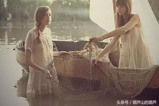柏拉图软件下载 派派下载