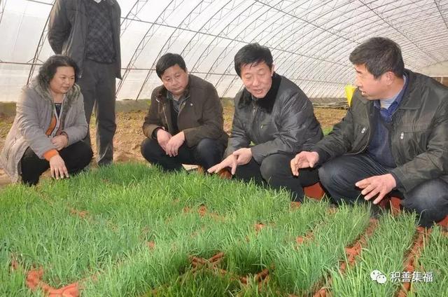 软件运维项目实施方案 配电运维项目实施方案