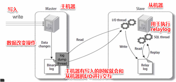 【图文教程】MySQL 主从