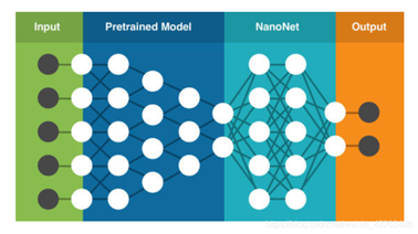 PyTorch 迁移学习实践(几分钟即可训练好自己的模型)