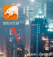 猎豹日历软件手机版 猎豹日历是什么软件