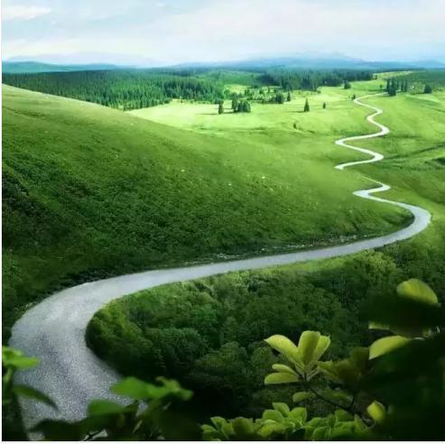 tree软件包在哪里 无法定位软件包tree