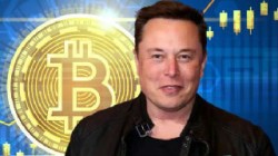 比特币价格5月份以来已跌40%,马斯克的锅有多大?