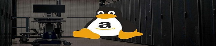 Linux 的无障碍设置如何操作?
