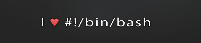 Linux的bash shell与man查看手册
