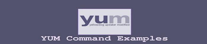 yum工具对软件包安装,删除,更新介绍