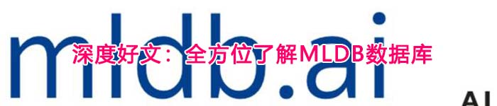 深度好文:全方位了解MLDB数据库