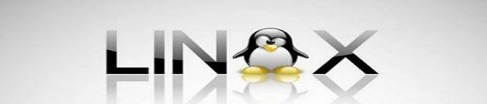你的 Linux 环境设置如何管理