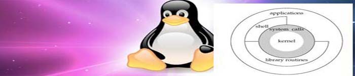 如何在Linux 中获取硬盘分区或文件系统的UUID?