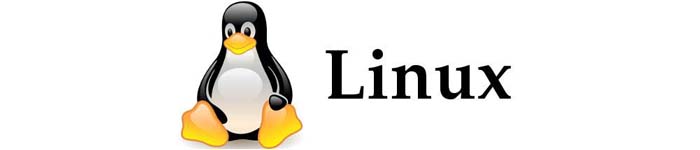 如何查看 Linux 当前缓存了哪些大文件?