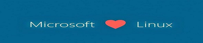 如何处理win10系统内置Linux系统闪退问题