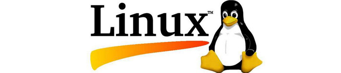 在 Linux 中删除超大文件的技巧