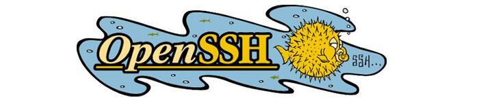 OpenSSH 高级运用两则