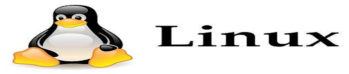 如何在 Linux 中运行 DOS 程序!