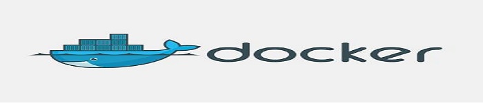 为什么要在 Docker 中使用 R?