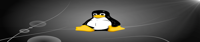 安装前配置的 Linux!