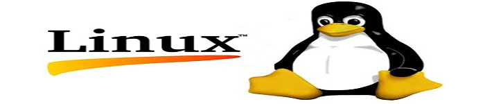 Linux 调试器之堆栈展开!