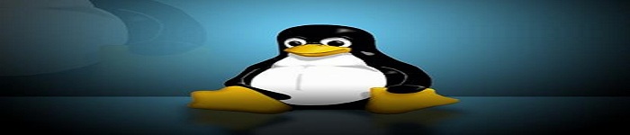 Linux 调试器之高级主题!