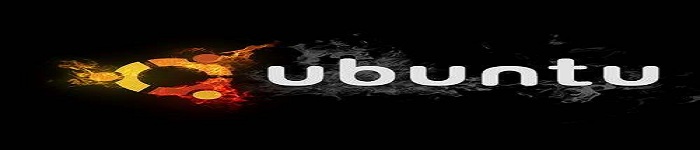 Ubuntu Linux 服务器和桌面的安装!
