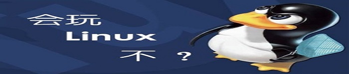 Linux中的权限发布啦!
