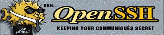 OpenSSH 曝远程代码执行漏洞,尽快升级