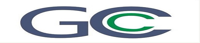 不常见但是很有用的 gcc 命令行选项发布啦!
