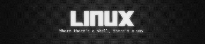 4 个最好的 Linux 引导程序