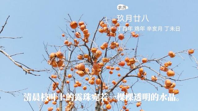 在软件上加字 加好友软件