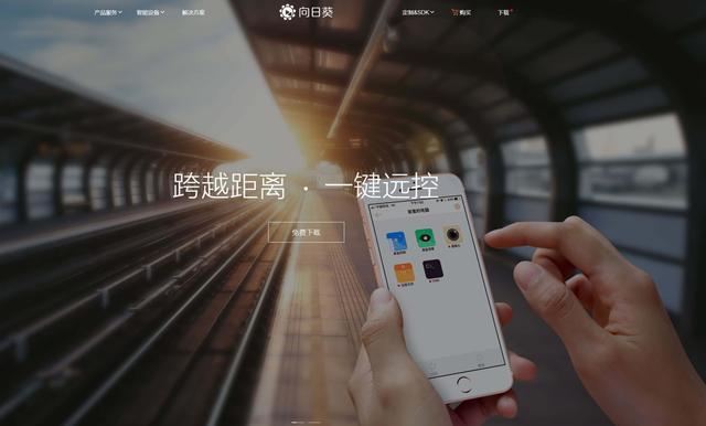 向日葵远程控制软件 vpn