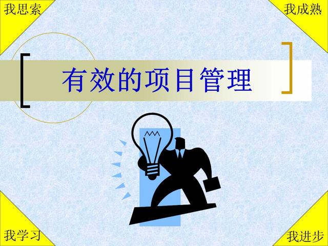 软件项目的目标和范围ppt
