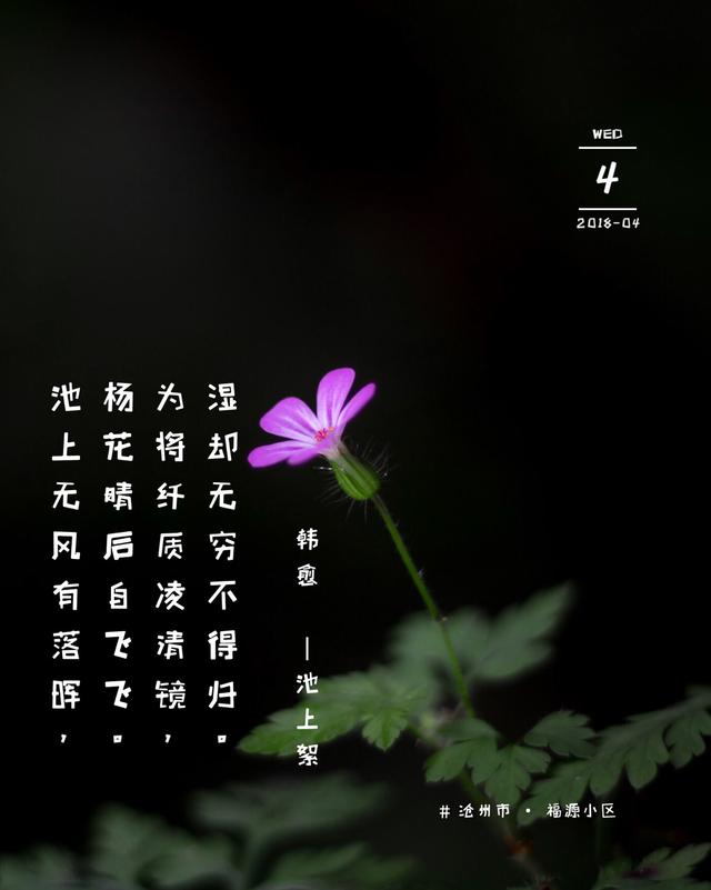 图片添加时间软件 怎么在图片上添加字