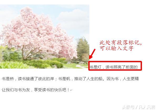word文档 图片 固定位置