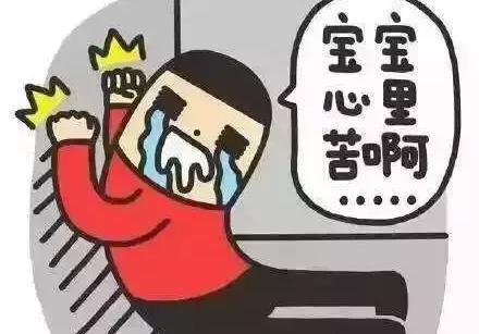 中兴 软件开发