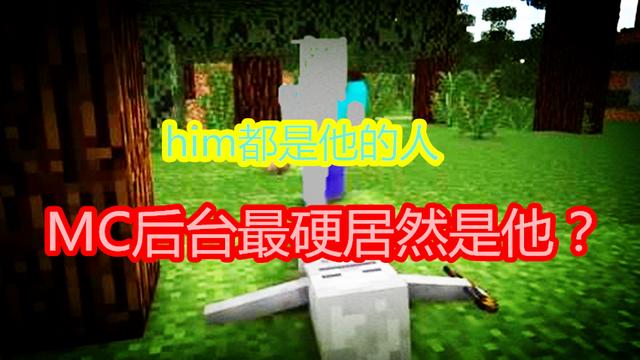 博士软件mc后台