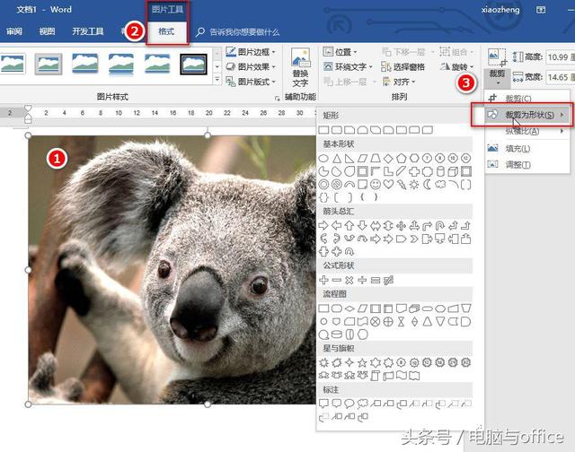 word中图片不能裁剪图片大小