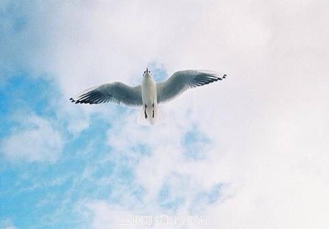 软件实施人员考核 软件实施过程人员考核