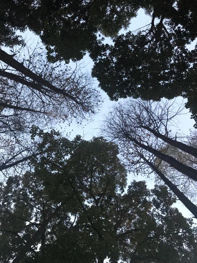 我的天空是什么软件