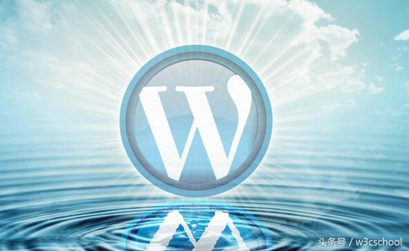 wordpress 插件 破解版