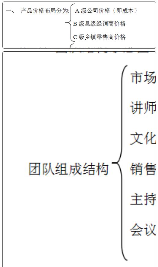 word2016文档的大括号