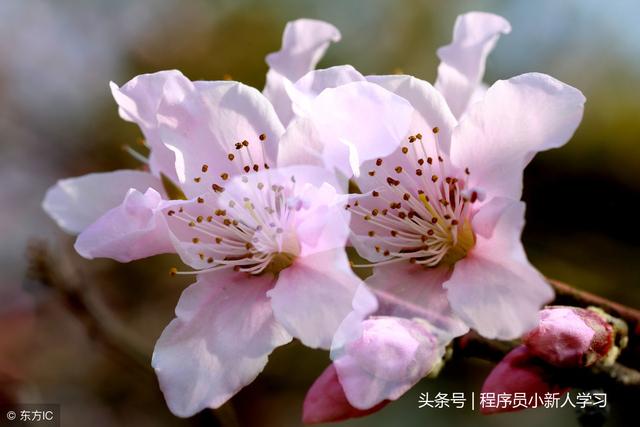 案件流程管理软件
