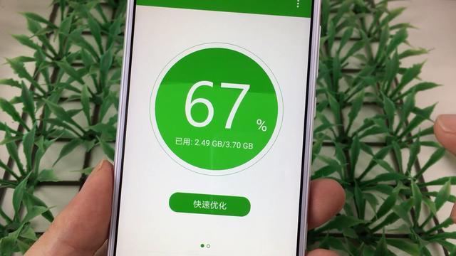 系统软件自动关闭