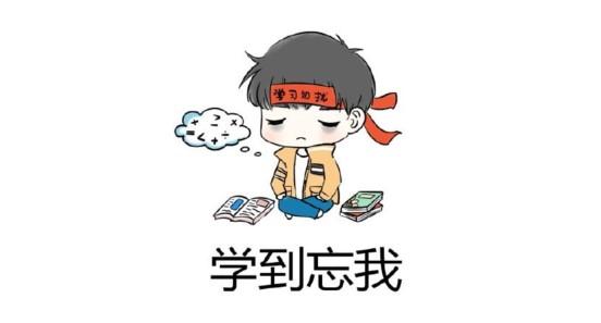 文件大小 分析 软件