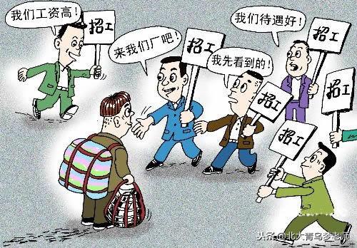 net软件开发工程师前景