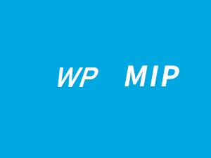 wordpress 百度统计