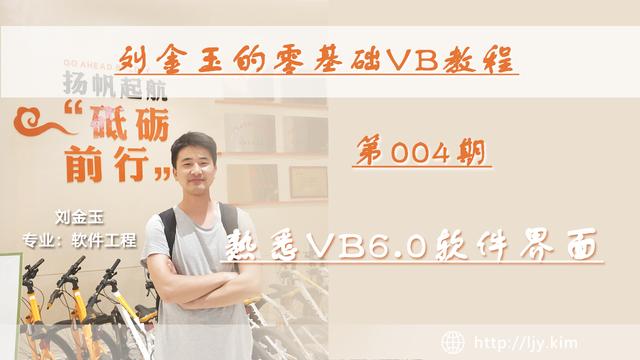 vb写软件界面