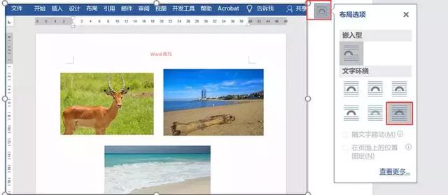 word里面图片怎么调整
