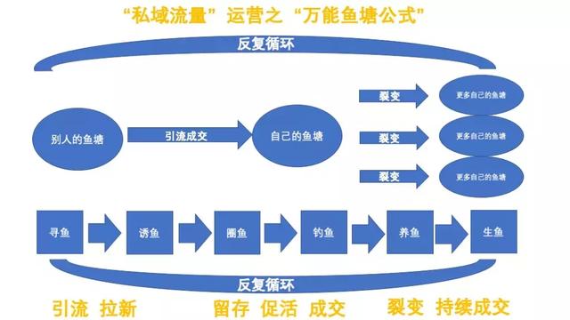 域 安装 软件
