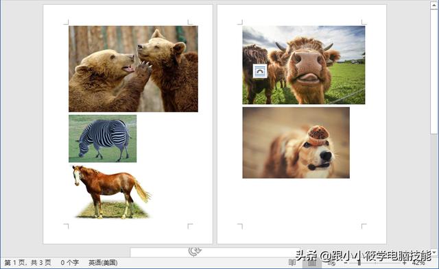 怎么把照片插到word文档